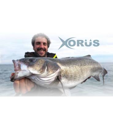 XORUS ASTURIE 110 - 11CM