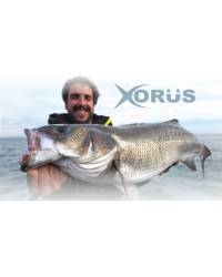 XORUS ASTURIE 130 - 13CM